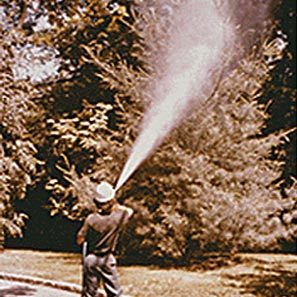 plant_health_care_3 plant_health_care_3