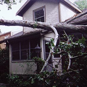 storm_damage_1 storm_damage_1